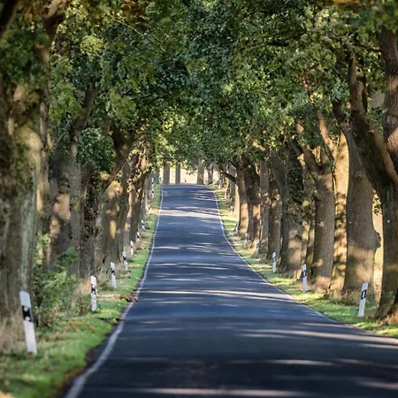 Blinkfueer Am Kap Arkona *