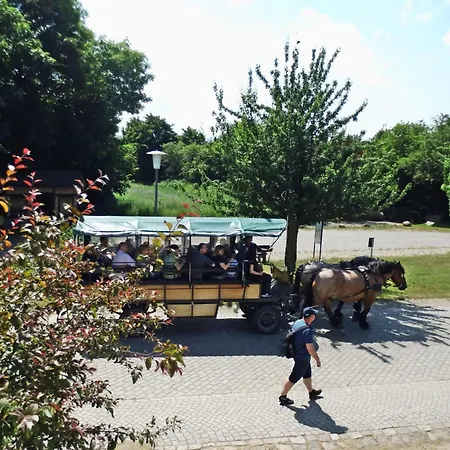 Blinkfueer Am Kap Arkona Διαμέρισμα *