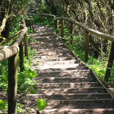 아파트 Blinkfueer Am Kap Arkona