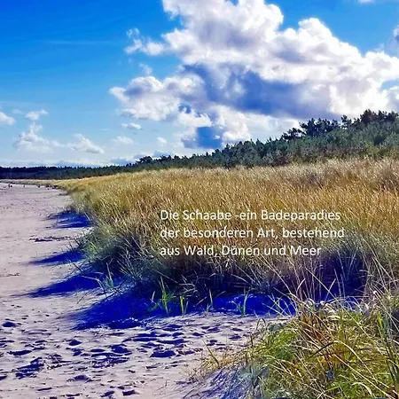 公寓 Blinkfueer Am Kap Arkona *