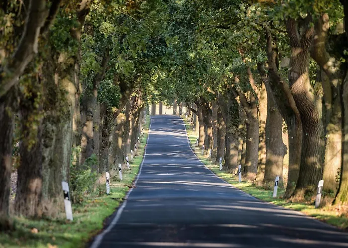 Blinkfueer Am Kap Arkona *